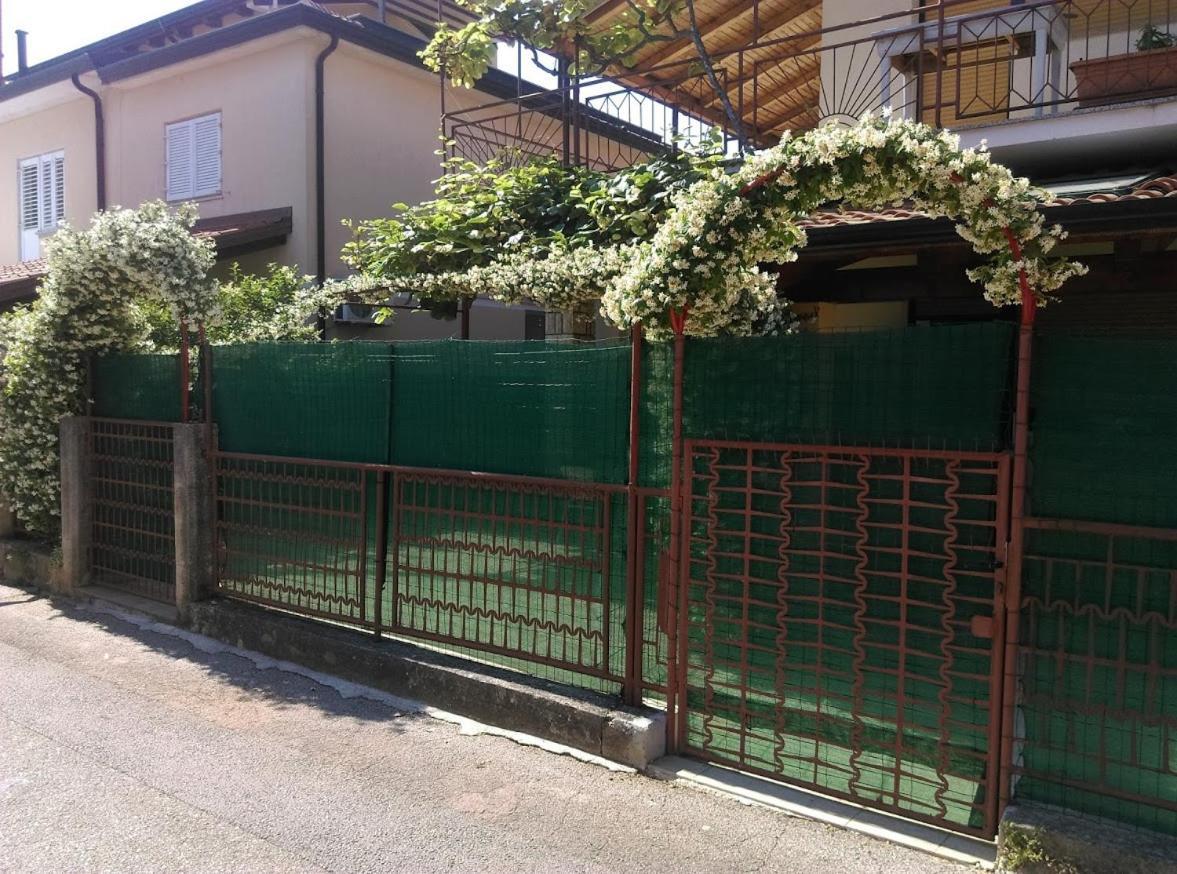 Apartment Casa Del Sol Novigrad  Exterior photo